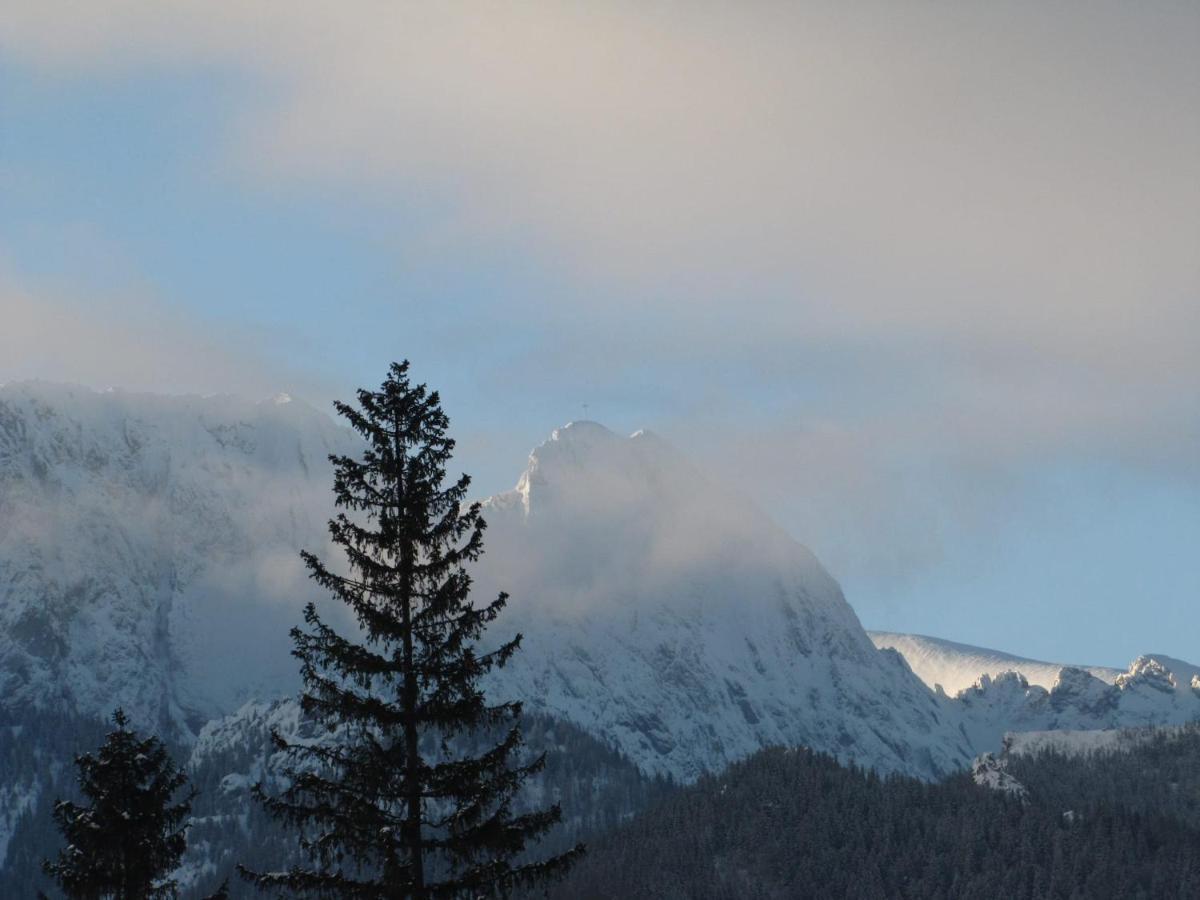 Domek Na Zaciszu Zakopane Exterior photo